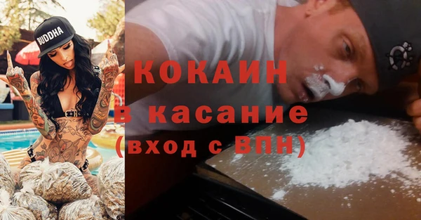 трава Гатчина