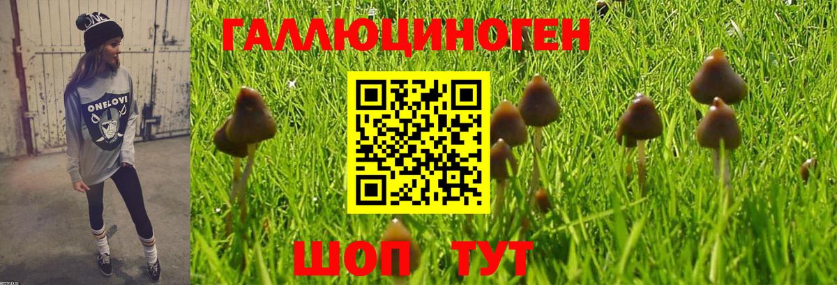 Галлюциногенные грибы ЛСД Нефтекумск