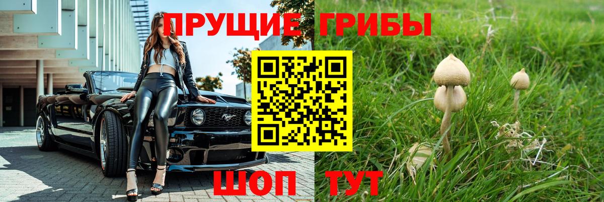 Галлюциногенные грибы прущие грибы  Нефтекумск 